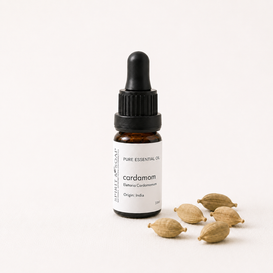 A small amber glass dropper bottle labeled 'cardamom' essential oil by Smiles with Purpose, shown on a clean white background with several dried cardamom pods placed beside it.