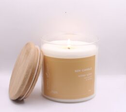 winter spice soy candle